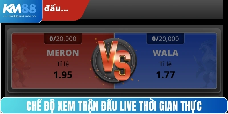 Chế độ xem trận đấu live thời gian thực